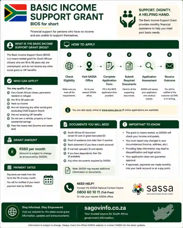 Basic Income Support Grant